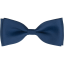 Blue Men's Matte Bow Tie