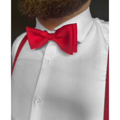 Red Men's Matte Bow Tie