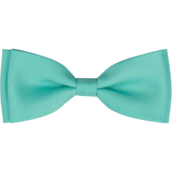 Mátový pánský motýlek matný