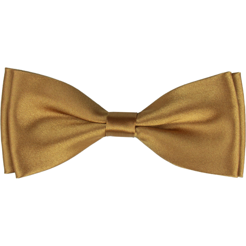Bronze Men's Bow Tie Glossy