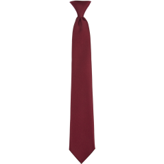 Burgundy Red Children's Necktie