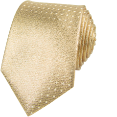 Zlatá pánská svatební kravata s kapesníčkem