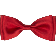 Červený pánský motýlek lesklý