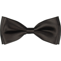 Tmavě hnědý pánský motýlek lesklý