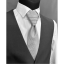 Light Grey Elegant Necktie with a Subtle Pattern