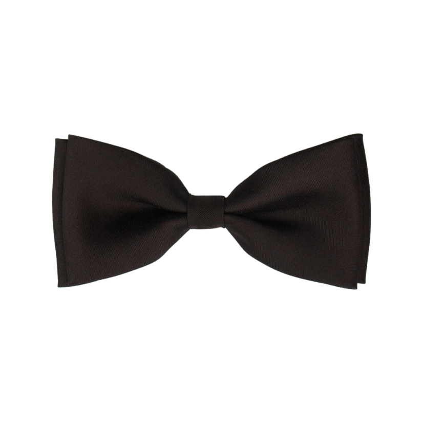 Dark Brown Children's Matte Bow Tie