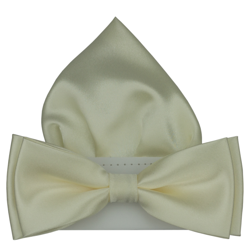 Šampaň pánský motýlek lesklý s kapesníčkem Šampaň pánský motýlek lesklý s kapesníčkem