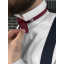 Burgundy Men's Set with Striped Necktie