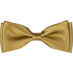 Zlatý pánský motýlek lesklý