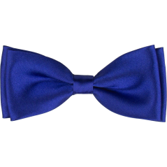 Královsky modrý pánský motýlek lesklý