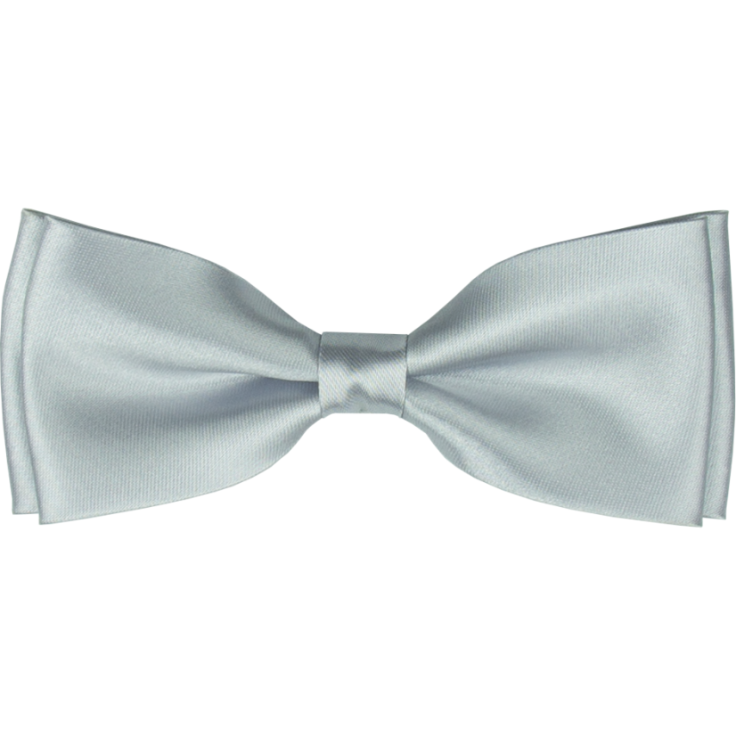 Stříbrný pánský motýlek lesklý