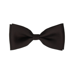 Dark Brown Children's Matte Bow Tie