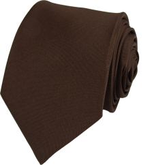 Brown Men's Necktie