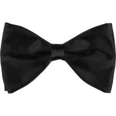 Black Men's Shiny Bow Tie – Elegant Butterfly