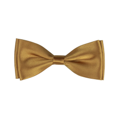 Bronzový dětský motýlek lesklý