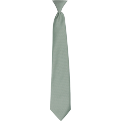 Sage Green Children's Necktie
