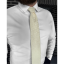 Cream Men's Necktie with Ornamental Pattern