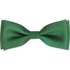 Zelený pánský motýlek s metalickým odleskem