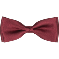 Vínově červený pánský motýlek lesklý