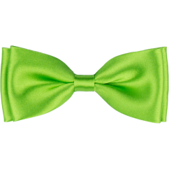 Bright Green Men's Bow Tie Glossy