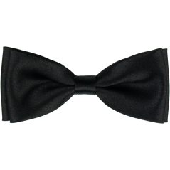 Černý pánský motýlek lesklý