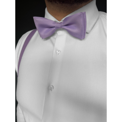 Purple Men's Bow Tie Matte