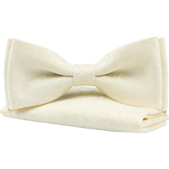 Cream Men's Bow Tie with Ornamental Pattern