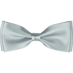 Silver Men's Bow Tie Glossy