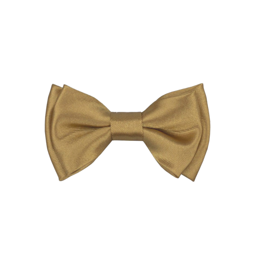 Zlatý dětský MINI motýlek lesklý