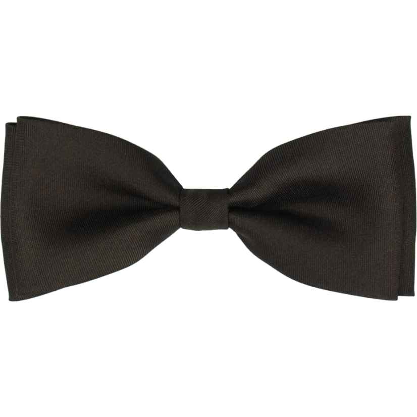 Dark Brown Men's Bow Tie Matte