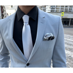 Silver Men's Necktie