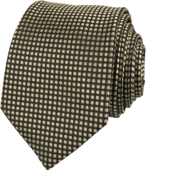 Black Men's Necktie with Gold Dots