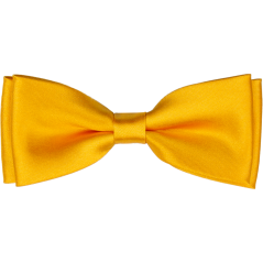 Hořčicově žlutý pánský motýlek lesklý