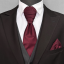 Burgundy Red Elegant Striped Necktie