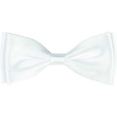 White Men's Bow Tie Glossy