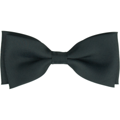 Dark Grey Matte Men's Bow Tie