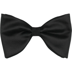 Černý pánský motýlek matný – elegantní butterfly