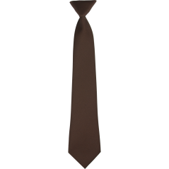 Brown Children's Necktie Matte