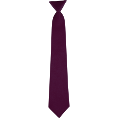 Dark Purple Children's Matte Necktie