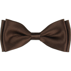 Hnědý pánský motýlek lesklý