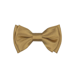 Zlatý dětský MINI motýlek lesklý