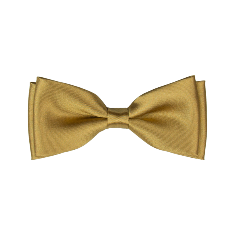 Zlatý dětský motýlek lesklý