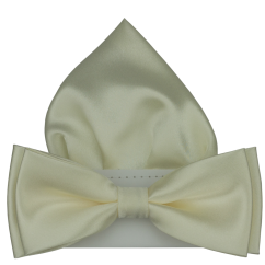 Šampaň pánský motýlek lesklý s kapesníčkem