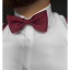 Wine Red Men's Bow Tie