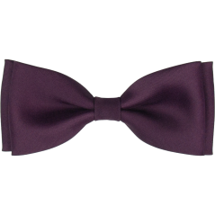 Dark Purple Men's Bow Tie Matte