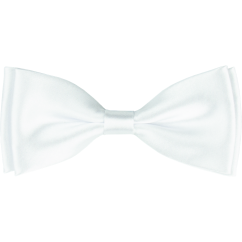 Bílý pánský motýlek lesklý