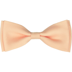 Lososový pánský motýlek matný