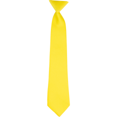 Canary Yellow Children's Matte Necktie