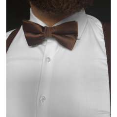 Brown Men's Bow Tie with Embroidered Stripes, Matte