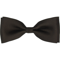 Dark Brown Men's Bow Tie Matte